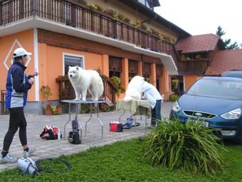 Panorama B&B