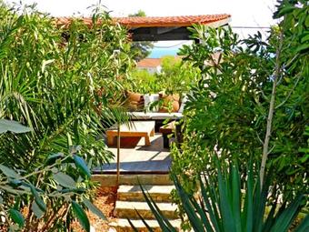 House Renato