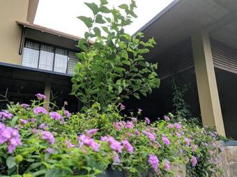 Homestay Namaha
