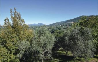 Gelsomino