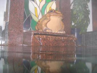 Biwaike Hotel