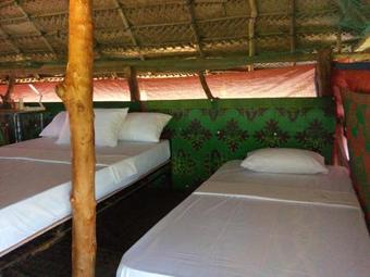 Jungle House