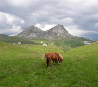 Agroturismo Doma?instvo Krstaji?