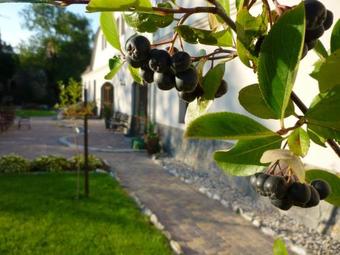 Agroturismo Aronia Park