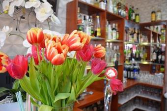 Hostal Zajazd U Renaty