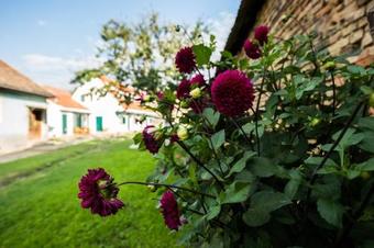 Bed & Breakfast Cloasterf Haus