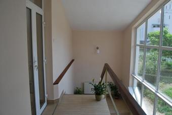 Hostel Paltinis