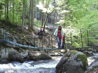 Hostal Landpension & Gasthaus Monika