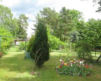 Ferienhaus Himmelpfort See 8861