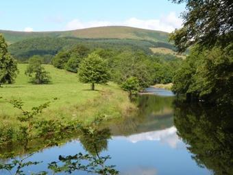 The Furrows
