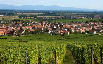 Hotelf1 Saverne Monswiller