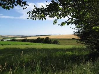 Seggat Farm Holiday Cottages