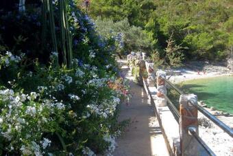 Apartments By The Sea Cove Zarace (gdinj) (hvar) - 8712