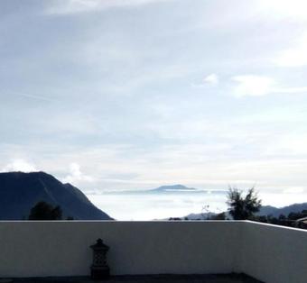 Hostal Bromo Otix Guest House