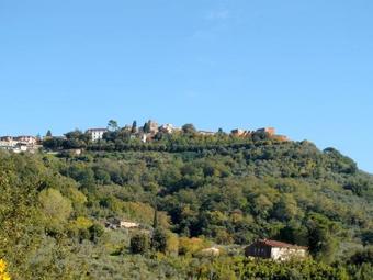 Locazione Turistica Agriturismo Borgo Della Limonaia (mtm164)