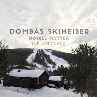 Lodge Hytter Domb�s