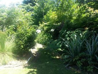 Bed & Breakfast Ridgehaven Accommodation