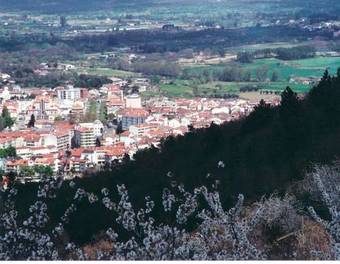Hotel Samasa Fundao