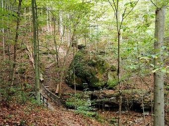 Carter Caves State Resort Park