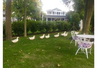 Hotel Walden Inn And Suites