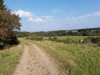 Apartamento P�hl Am Nationalpark Eifel