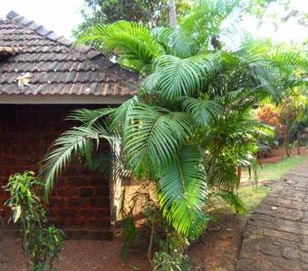 Namaste Yoga Farm