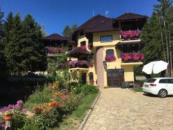 Ver fotos