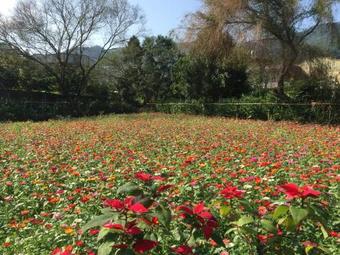 Yu Ho Yuan Lesiure Homestay