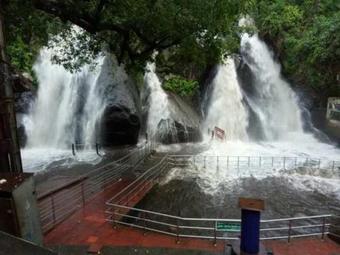 Hotel Orchard Valley Resort