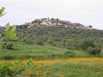 Agroturismo Agriturismo Vigna Mai