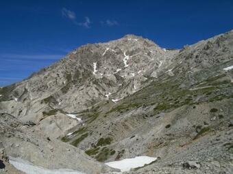 Fonte Pecorale