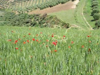 Agroturismo Terre De Traces Ecolodge