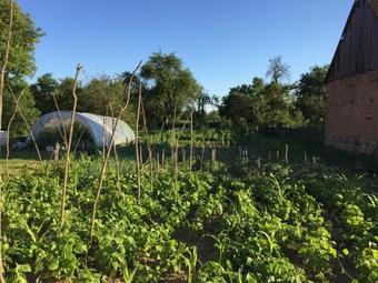 Pensiune Agroturistica Hanna
