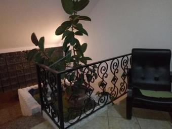 Hostal Hostel Bata