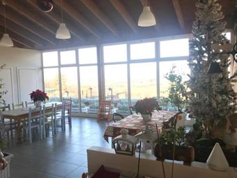 Agroturismo Fattoria Belvedere