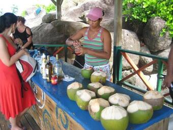 Cradle Of All Stars