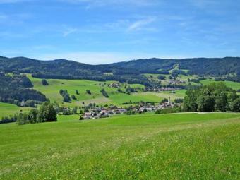 Apartamento Gasthaus Waldfrieden 260s