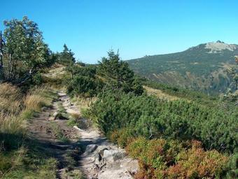 Hostal Penzion Podles�