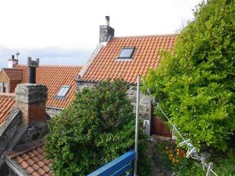 40 Crovie