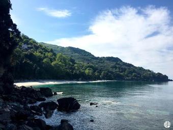 Forest Inn