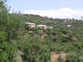 Sxiza Houses