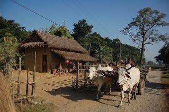 Hotel Machan Country Villa
