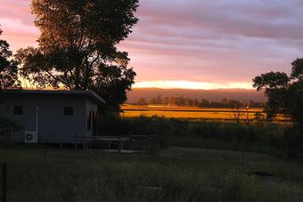 Abington Farm