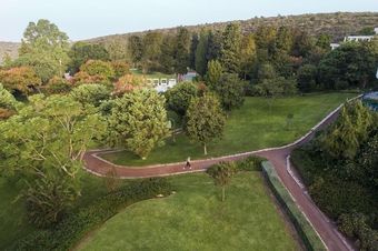 Hotel Carmel Forest Spa Resort
