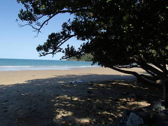 Lodge Daintree Crocodylus Village