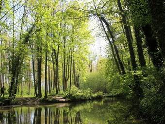 Bed & Breakfast Le Val Domignon