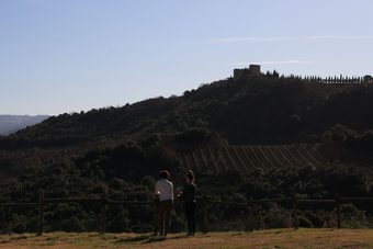 Apartamento Wine Loft Sant?antimo
