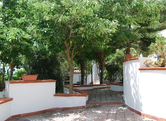 Ver fotos