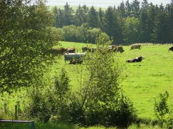 Agroturismo Farm Stay Am Jagdberg