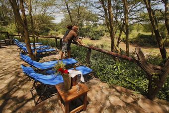 Ver fotos